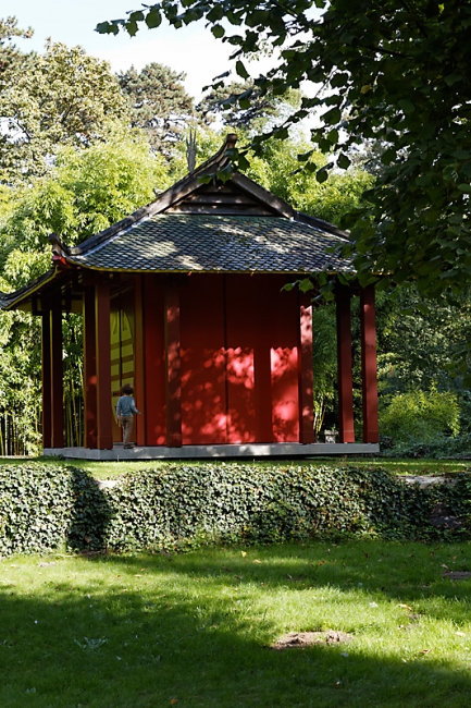 JAT (Jardin d'Agronomie Tropicale)-026